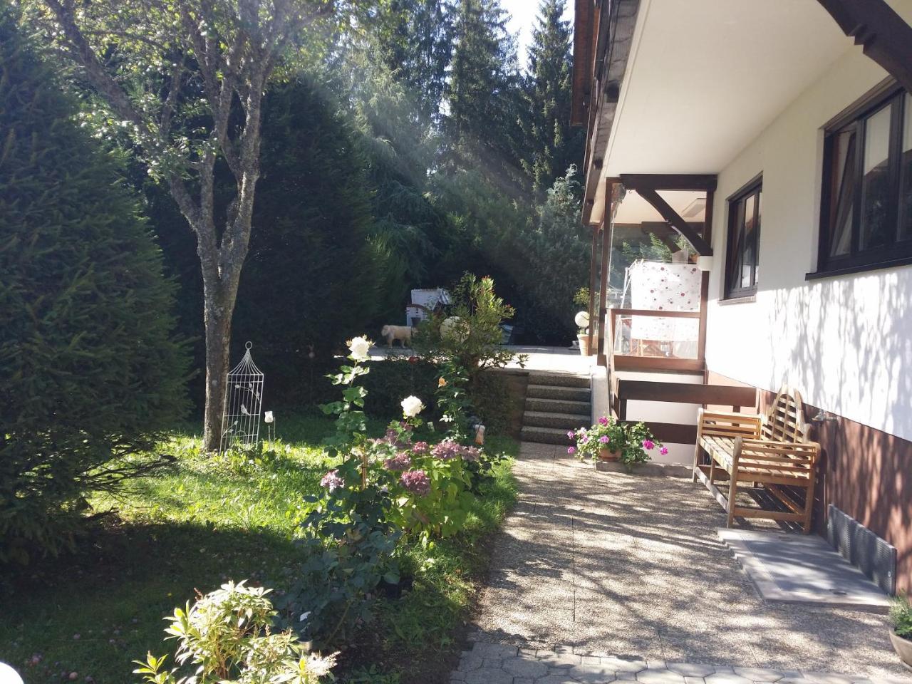 Schwarzwald - Villa Appartments Titisee Exterior photo